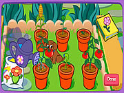 Dora and planting seedlings game