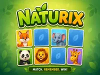 Naturix image
