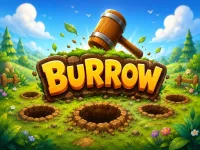 Burrow image