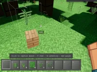Voxel Frontier image
