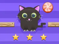 Cut For Cat Challenge image