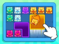 Meow Block Color Collect image