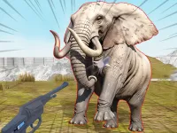 Zoo Anomaly Simulation image