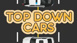 Top Down image